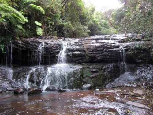 Banglore-Mysore-Ooty