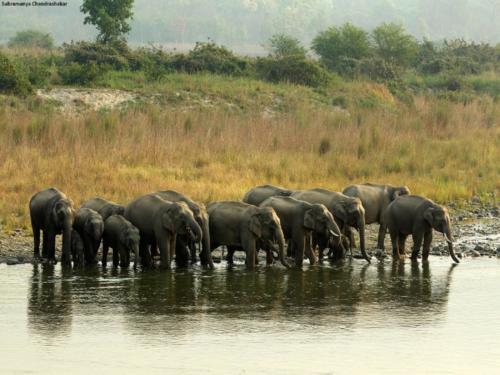 Uttarakhand